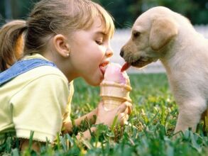 una niña come helado con un perro y se infecta con parásitos